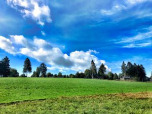 Weer fotos Bütgenbach / 8 september 2018