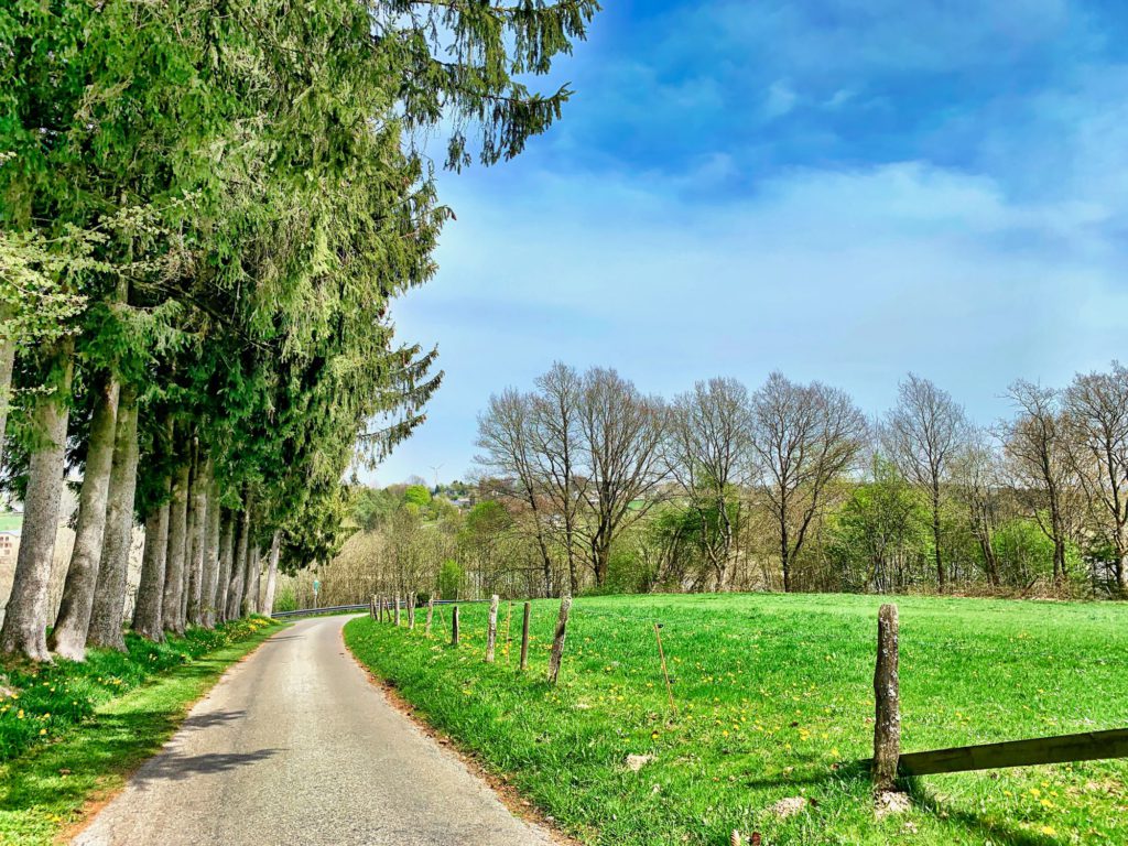 Lente / Printemps / Frühjahr / Spring (Fotos: Ardennes + Hautes Fagnes)