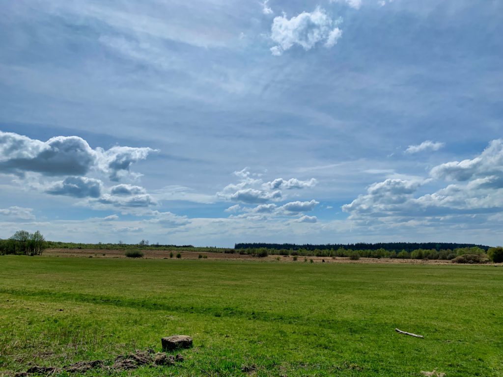 Lente / Printemps / Frühjahr / Spring (Fotos: Ardennes + Hautes Fagnes)